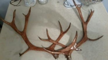 həsir nədir: Рогапрекрасном состояние. договарная. по пустякам не звонит — 1