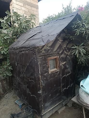 Akvariumlar: El dami ve ya goyersin dami kimife istifade etmek olar — 2