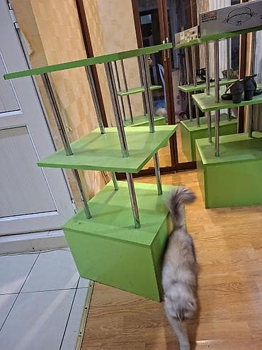 kitab vitrini: Məhsul: Yaşıl rəngli vitrin/stand modulu Təsvir: - 3 səviyyəli — 1