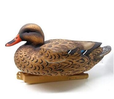 bakıda ovcu mağazaları: Ordek maketi — 2