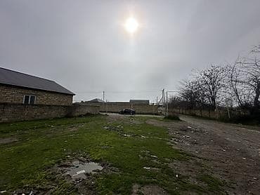 binede torpaq satilir 2024: Tikinti — 2