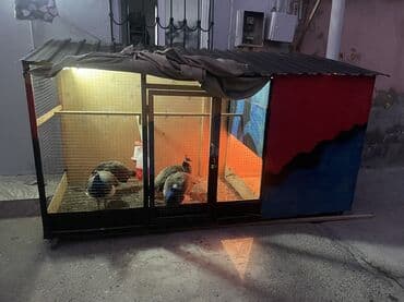 Qefes quslar ucun Salam. Oz el iwim olan qefesi satiram. Cox idealdi