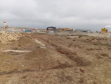 Kirayə torpaq sahələri: 40 sot, Tikinti, Mülkiyyətçi, Kupça (Çıxarış) — 5