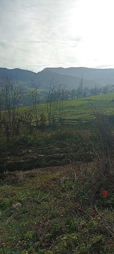 kohnə suraxanı: Kənd təsərrüfatı — 9