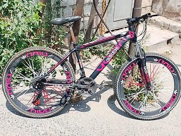 velosiped kameri: Şəhər və yüngül off-road sürüşləri üçün dağ velosipedi — 2