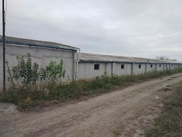 ulduzda kirayə evlər: Ferma mal bazarina bir kilometr mesafede yerlesirqarabag su — 7