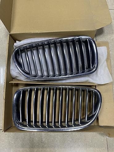 Avtomobil üçün ön radiator barmaqlığı dəsti - Tip: Cüt “kidney”