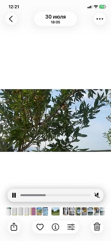 sabirabad ev satışı: 412 sot, Kənd təsərrüfatı, Mülkiyyətçi, Kupça (Çıxarış) — 7