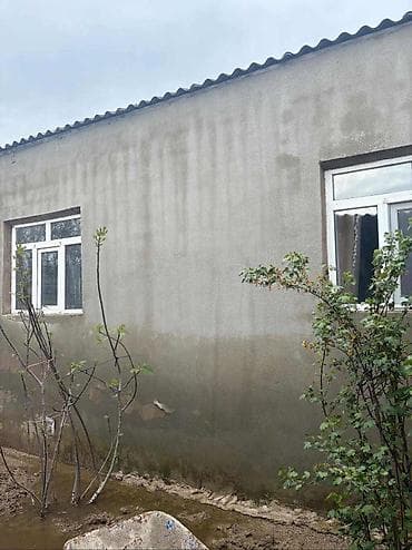 fin evlər: Həyət evi satıl: Pirallahi rayonu 4 otaq orta temirli - Ümumi tip — 5