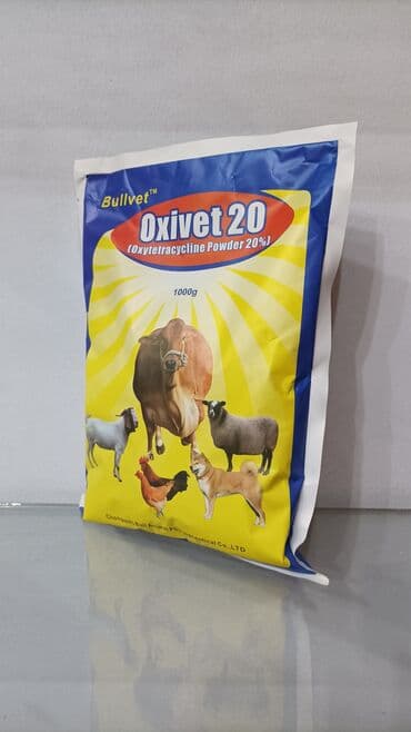 Əldə etmək üçün ünvan: bakı beynəlxalq avtovağzal kompleksi.1-ci lalafo.az -da Əldə etmək üçün ünvan: bakı beynəlxalq avtovağzal kompleksi.1-ci