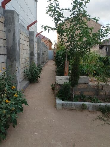 kirayə ev bine: Binə, 40 kv. m, 2 otaqlı, Qaz, İşıq, Su — 2