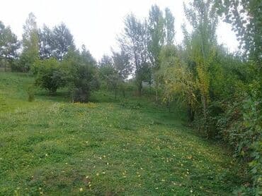 qara qarayev ev: 12 sot, Kupça (Çıxarış) — 4