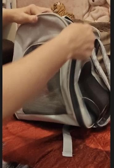 Heyvanlar üçün mallar: Ev heyvanları üçün daşıma çantası/backpack tipli daşıyıcı. Açıq boz — 2