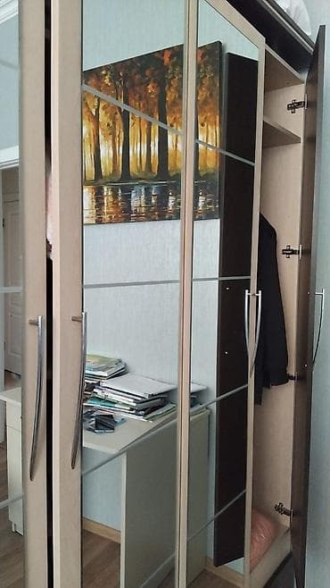 aluminium satisi: 4 qapılı, Güzgülü, Digər rəng, Digər material, Açılan, Düz dolab — 1
