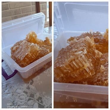 sacaqli pendir: Məhsul: Təbii pətək balı Təsvir: - Arı çərçivəsindən kəsilmiş, tam — 3