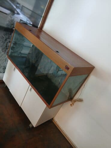 ağ balıq: Akvaryum dəsti – şkaflı - Şüşə akvaryum, ön və yan tərəflər şəffaf — 2