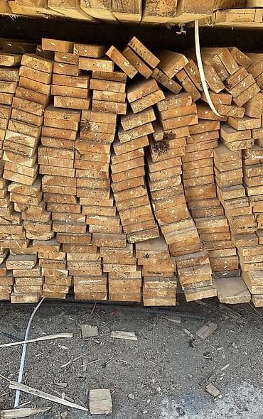 paddon taxtasi: Taxda şalban topdan perakende satiş — 2