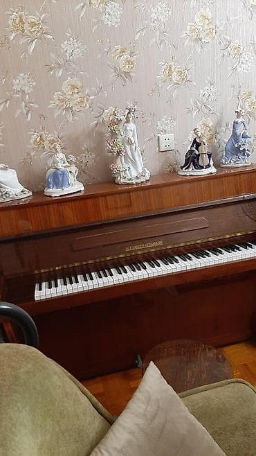 Alman pioninası çox səliqəlidir at lalafo.az Alman pioninası çox səliqəlidir