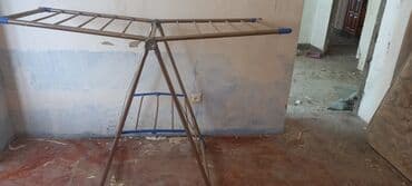 gəmiricilər: Satilir 10m — 1