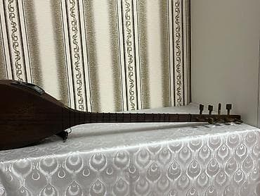 Velosiped aksesuarları: Elektro saz – daxili preamp və tuner ilə Məhsul təsviri: - Elektro — 3