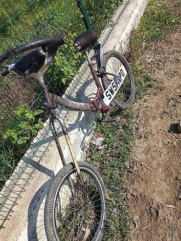 uşaq stulları: İki təkərli Uşaq velosipedi 20", sürətlərin sayı: 1 — 6