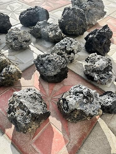 divar daslari qiymeti: Akvarum üçün Təbii qara vulkanik daşlar (poroz/lava daşları) – — 10