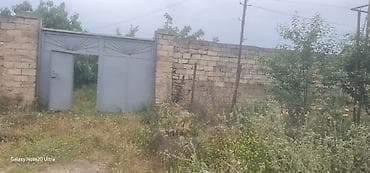 Tikinti, Kupça (Çıxarış) — 4