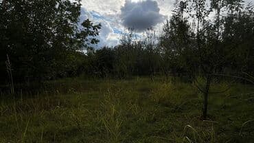 sumqayit corat heyet evleri: 15 sot, Tikinti, Makler, Kupça (Çıxarış) — 10