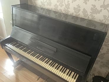 elektron gitara satisi: Piano, Akustik, İşlənmiş, Ünvandan götürmə — 5