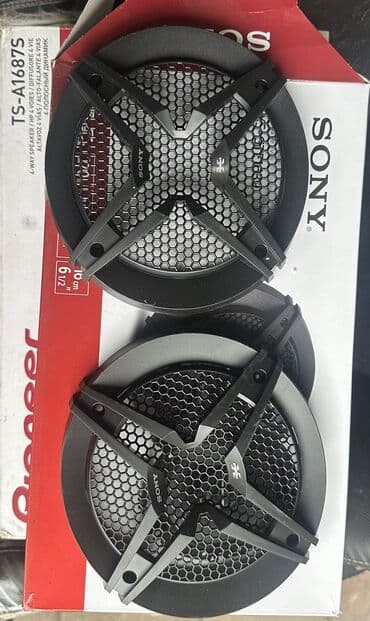 Dinamiklər və sabvuferlər: Dinamik üzlükləri
16 lıq — 1