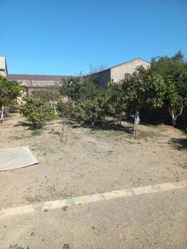 Həyət evi alıram: Həyətyanı ev – geniş sahəli, meyvə bağı və tam infrastrukturlu - — 2