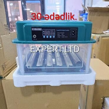 inkubator avadanlıqları: Çin, Fabrik istehsalı, Tam avtomat, Bütün növ quşlaq üçün — 3