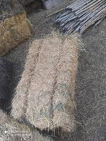 Quba rayonu, Zerdabi qesebesinde ot presi satılır, yonca ve ot lalafo.az -da Quba rayonu, Zerdabi qesebesinde ot presi satılır, yonca ve ot