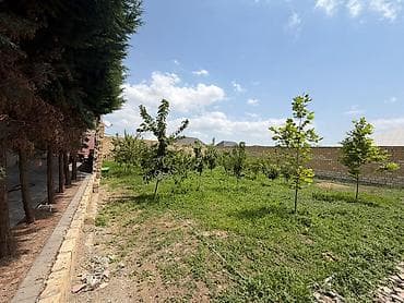 cepis satisi: 4 otaqlı, 1 kv. m, Yeni təmirli — 10