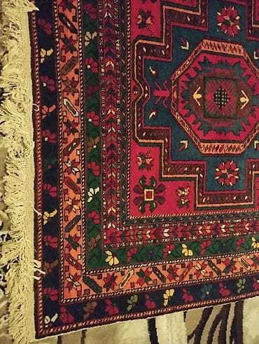 güldəfnə bitkisi: Xalça Dekorativ, Kredit yoxdur — 4