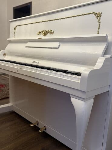 Словари: Пианино, Rönisch, Акустический, Новый, Бесплатная доставка — 3