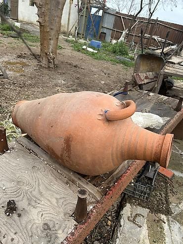 гул койгуч: Sağlam gil materialdan hazırlanmış ənənəvi küp (amfora tipli). Uzunsov — 2