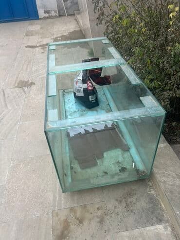 купить аквариум: Böyük ölçülü şüşə akvarium - Material: qalın şüşə, künclər silikonla — 2