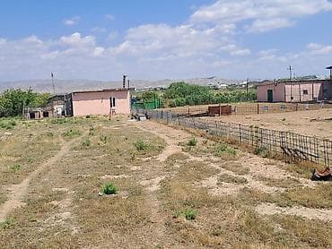 qebele: Haciqabulda ferma satılır.15 hektar.350kv.tikili.kənd tədərrüfatı — 8