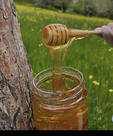 сырдуу бал: Təbi dag balı sifarişlər qəbul olunur 20 yanvar metroya catdırılma var — 2