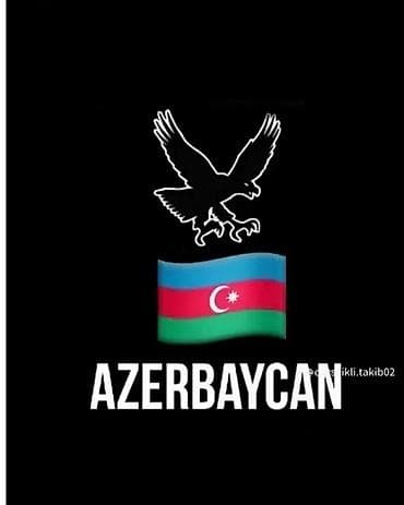 Резюме: Azerbaycan temalı qara fonda dizayn – qartal silueti və dalğalanan — 1