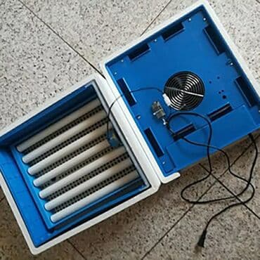 qirqovul satilir: Çin, Fabrik istehsalı, Tam avtomat, Bütün növ quşlaq üçün — 3