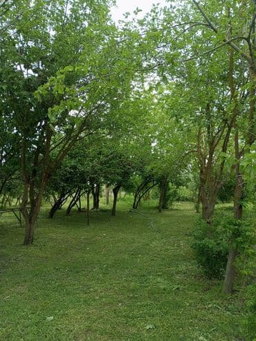 kirayə ev 3 otaq: Kürdəmir, 3000 kv. m, 2 otaqlı, Hovuzsuz, Qaz, İşıq, İnternet — 3