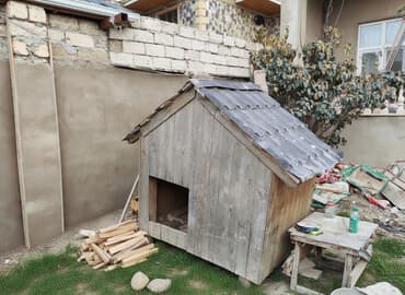 hazir yuva: Razılaşma yolu ilə — 1