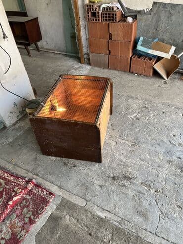 heyvanlar ucun bit dermani: Mewdagadadi — 2