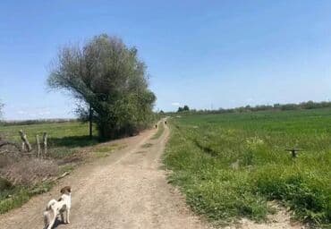 bina evləri bakı: 1500 sot, Kənd təsərrüfatı, Mülkiyyətçi, Kupça (Çıxarış) — 2