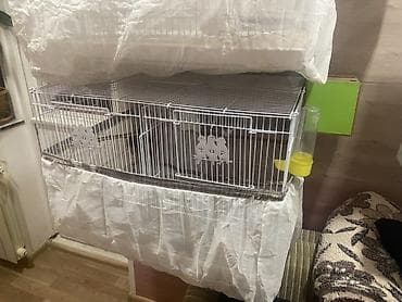 Geyimlər: Salam Terqizme quwlar ve qefes satilir 3 eded bolunen qefes — 1