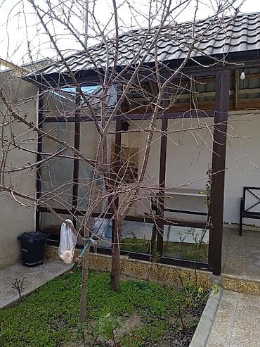 besedkalar dizayni: Həyət evi üçün şüşəbənd/veranda konstruksiyası - Material: möhkəm — 1