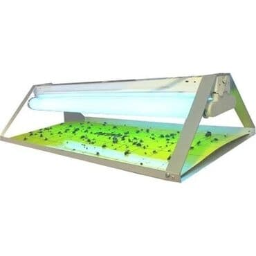 Həşərat öldürən, Yeni, Ünvandan götürmə, Pulsuz çatdırılma, Ödənişli çatdırılma