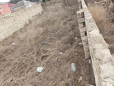 torpa: Tikinti — 3